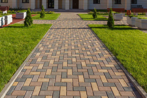 Best Cobblestone Driveway Paving in Lake Panasoffkee, FL