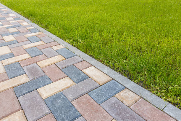 Best Driveway Paver Repairs and Restoration in Lake Panasoffkee, FL